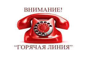 9 февраля Росреестр проведет всероссийскую «горячую» телефонную линию.